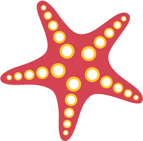 Starfish Png - Estrela Do Mar Png (512x512)