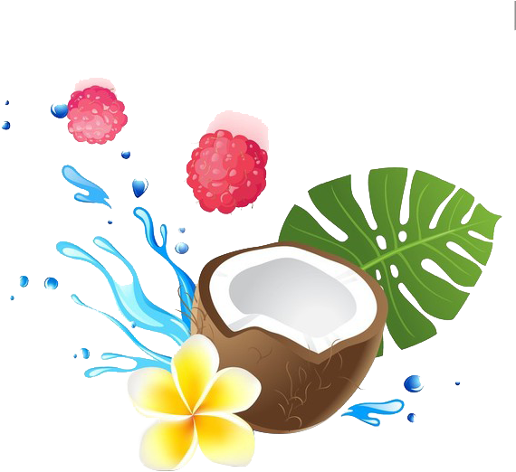 Coconut Milk Coconut Water Coconut Oil Health - Fruits And Water Cartoon (600x553)