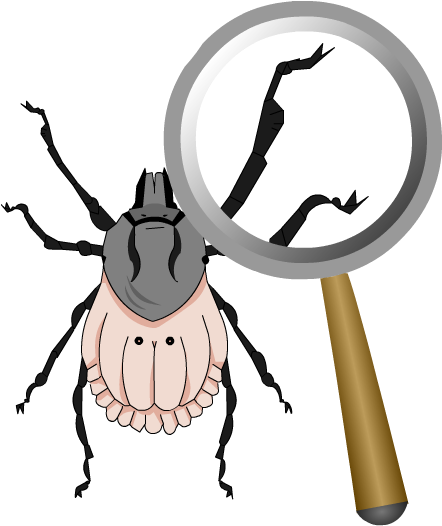 Below Is A Rendering Of The Page Up To The First Error - Below Is A Rendering Of The Page Up To The First Error (500x593)