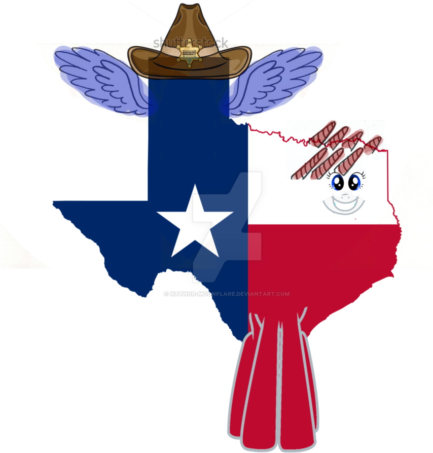 New Oc Sheriff Texas - Texas State Decal (894x894)