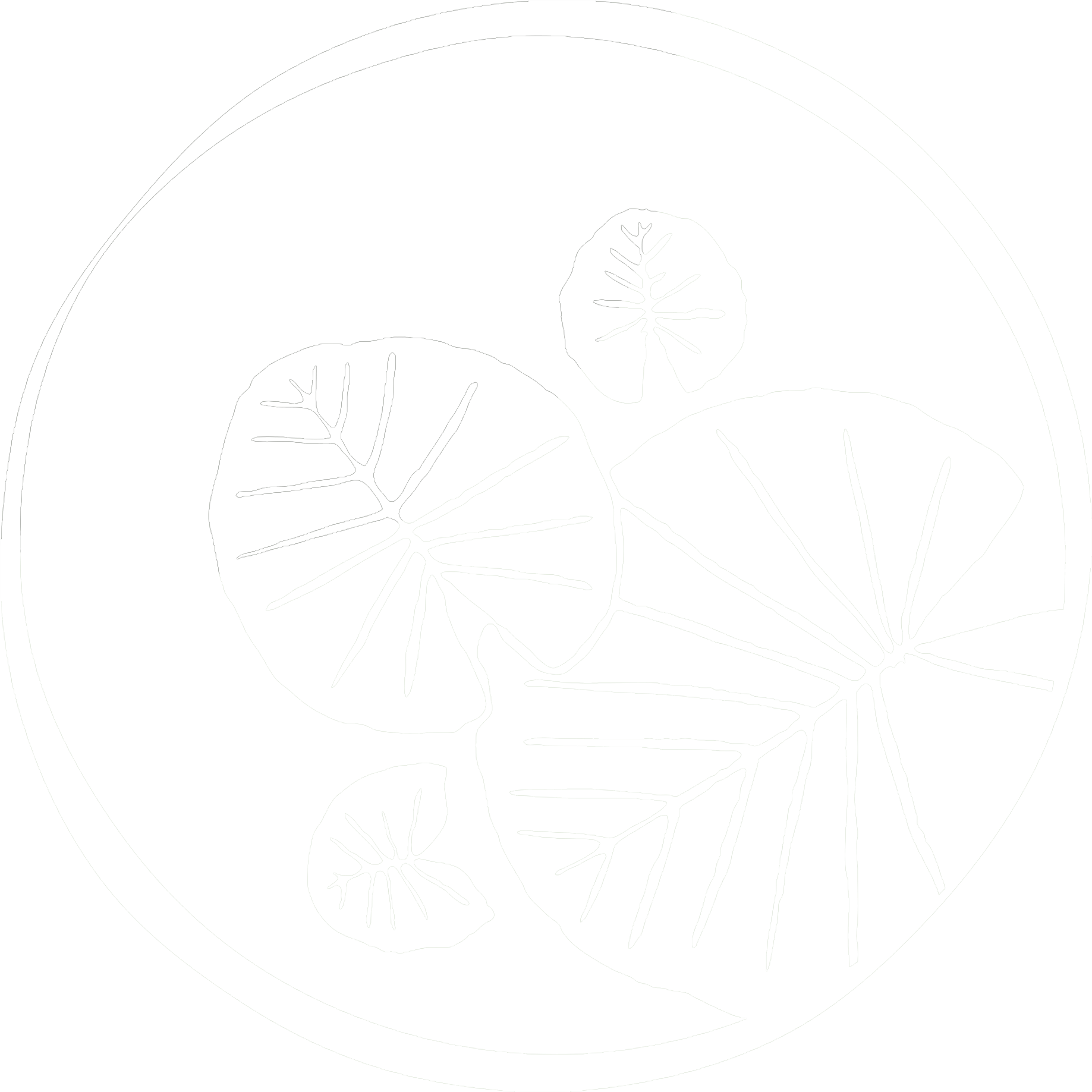 The Lily Pad At Byron The Lily Pad At Byron - Circle (2000x2000)