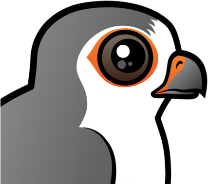 About The African Pygmy Falcon - Common Kestrel (440x440)