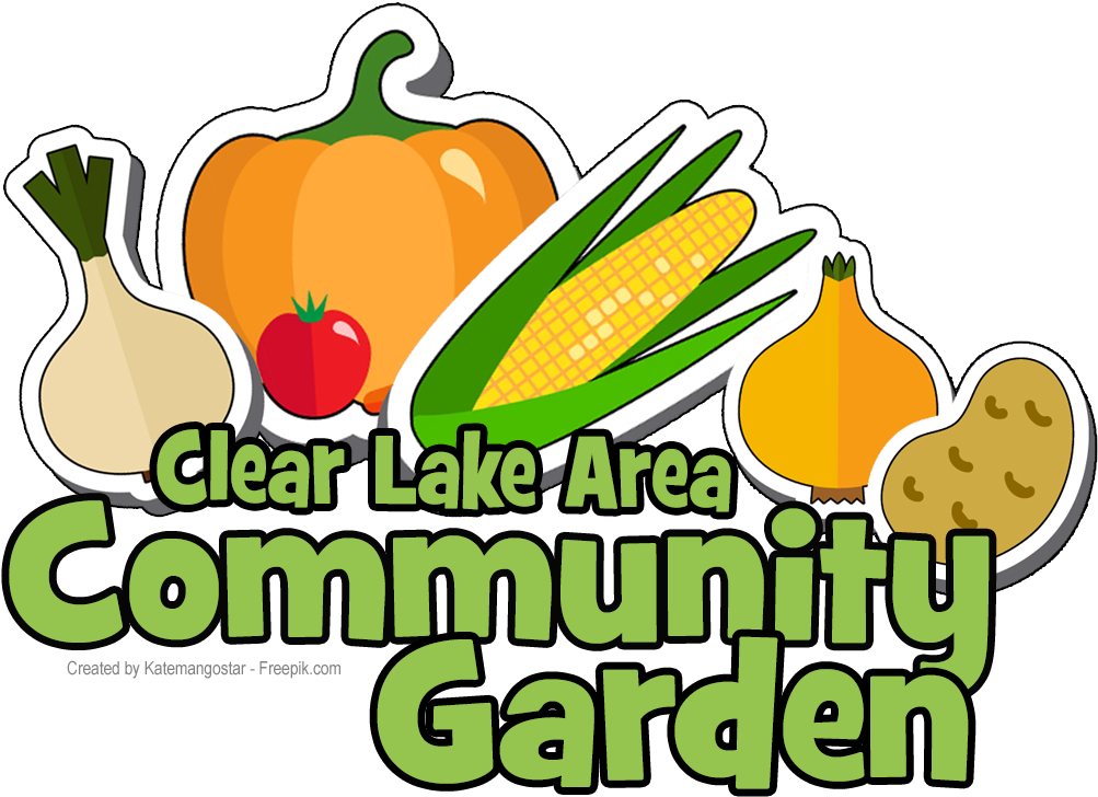 Article Photo - Community Gardening (1041x762)