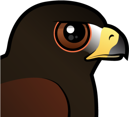 About The Harris Hawk - Harris's Hawk (440x440)