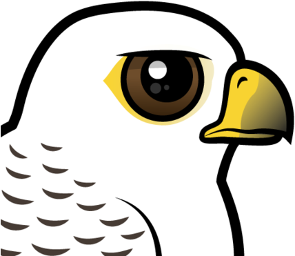 Also Known As - The Birds (440x440)