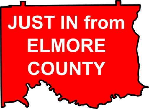 Elmore County Sheriff Franklin Reports Four Significant - Happy 50th Birthday Tommy (505x372)