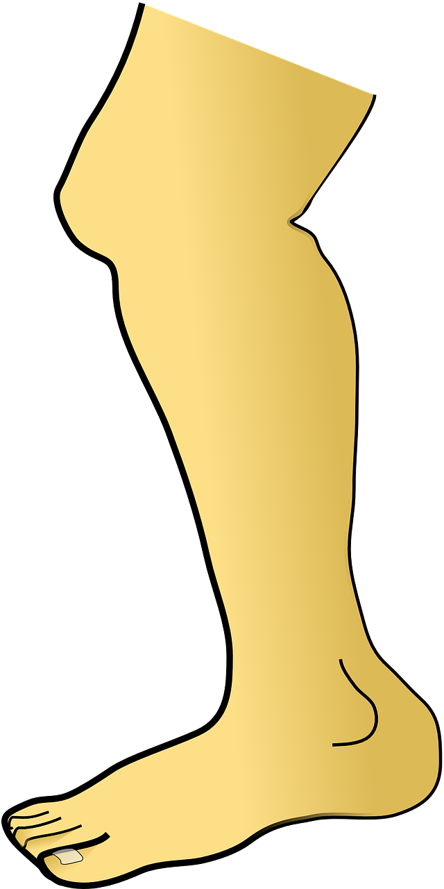 Knee Pain - Leg Clipart (640x1280)