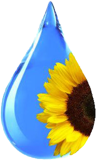 Keizer Nursery - Dove Sunflower Dj Turntable Slipmat (360x360)