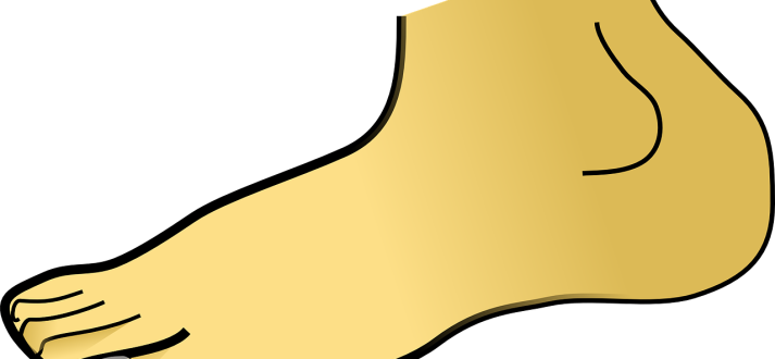 Foot-px Sc - Clipart Of Foot (713x330)