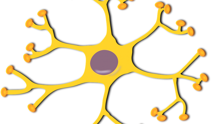 Have You Ever Heard Of Complex Regional Pain Syndrome - Motor Neuron Clipart (730x430)