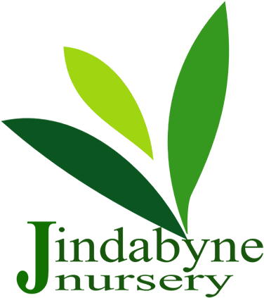 Jindabyne Nursery - Ca Oh 2 Co2 (397x425)