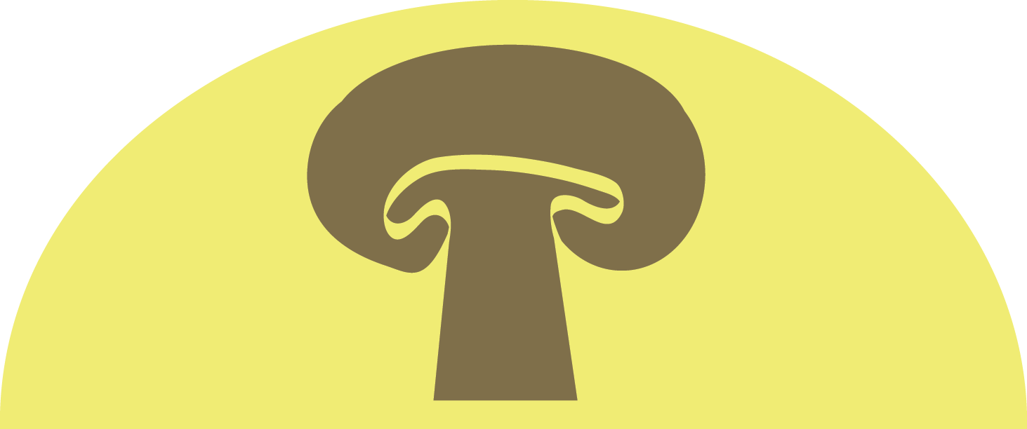 Mushroom-taco - Mushroom (1463x612)