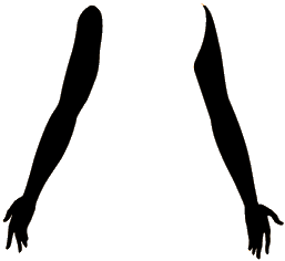Other Symptoms - Bird Of Prey (260x640)