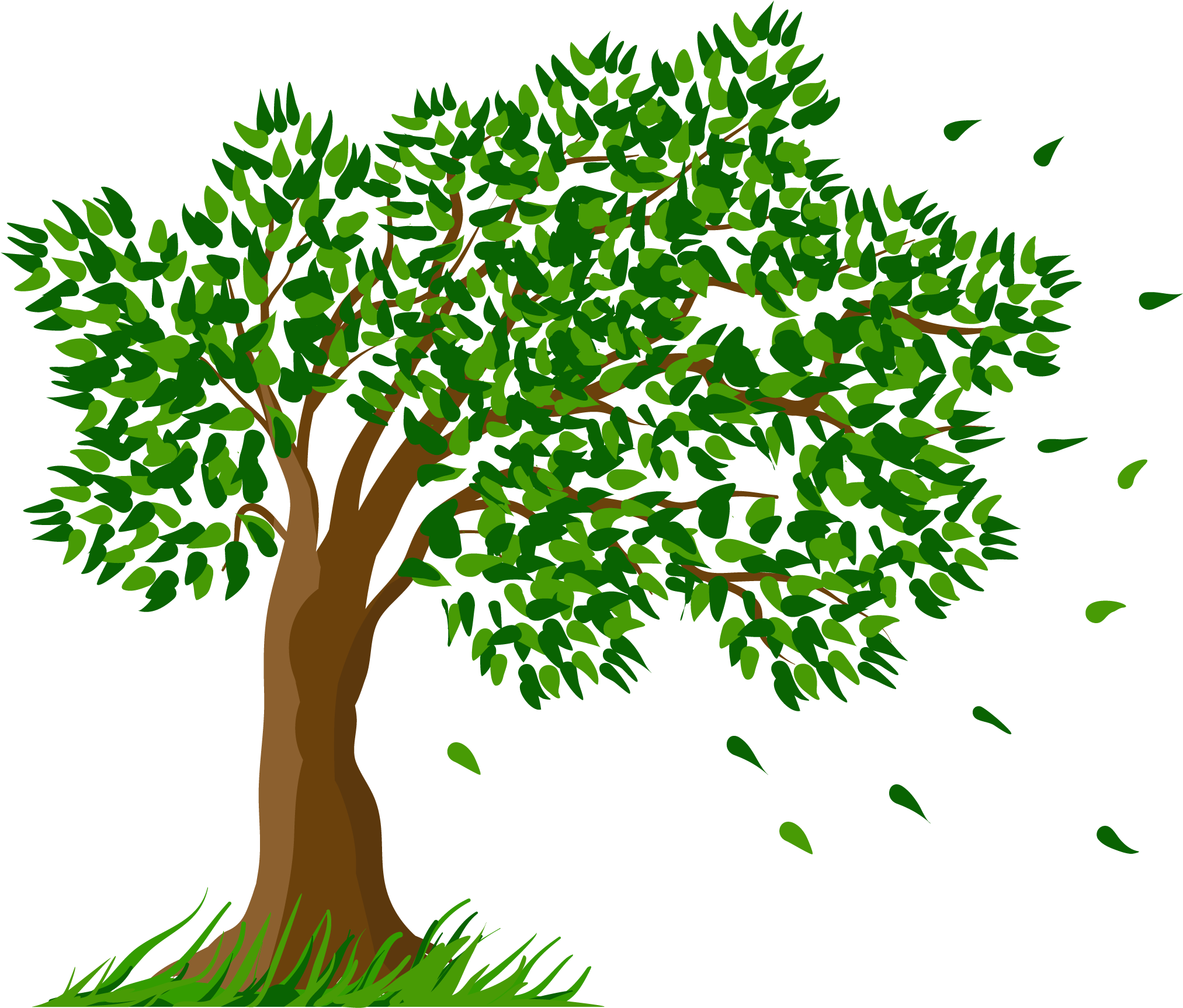 Tree Transparent Clipart Picture - Transparent Background Tree Clipart (2234x1965)
