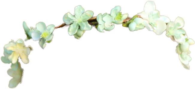 Tumblr Transparent Flower Crown Image Png Image - Template Picart (807x807)