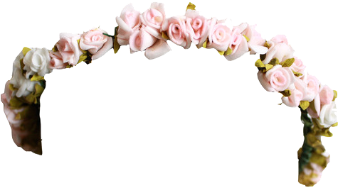 Flower Crown Tumblr Png Image - Flower Crown Tumblr Png (600x600)