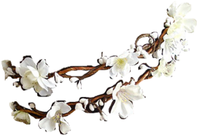 Transparent Flower Crown - Bracelet (500x313)