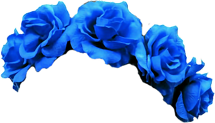 Blue Flower Crown Transpa Png Image 405 Png Mix - Flower Crown Picture Editor (692x396)