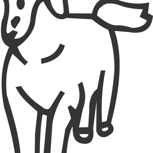 Horse - Horse (600x600)