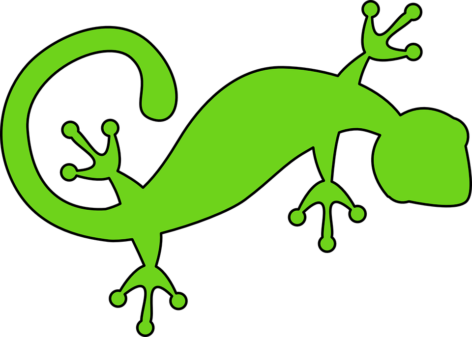 Free Vector Graphic - Gecko Clipart (960x686)