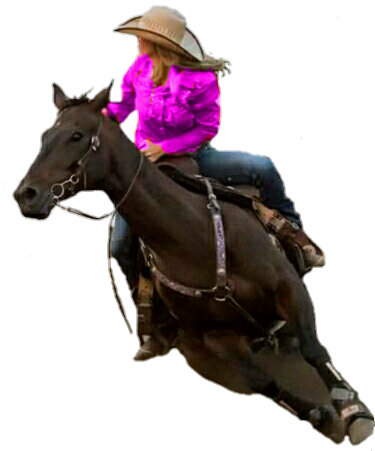 Tough Enough To Wear Pink Friday - Stallion (375x451)