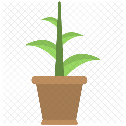 Plant Pot Icon - Flowerpot (512x512)