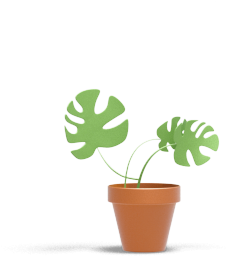 An Office Door A Potted Plant - Flowerpot (231x600)