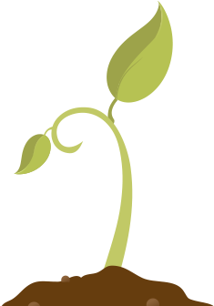 Can Making New Habits Really Boost Your Professional - Illustration (513x454)