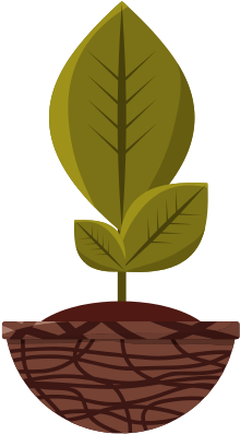 Plant In Pot Vector Illustration - Illustration (550x550)