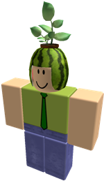 12942070 - Roblox (352x352)