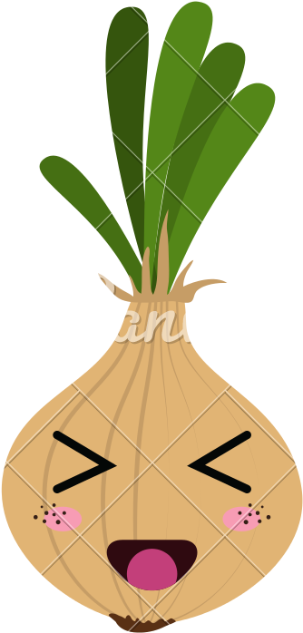 Onion Cartoon - Cebola Kawaii (800x800)