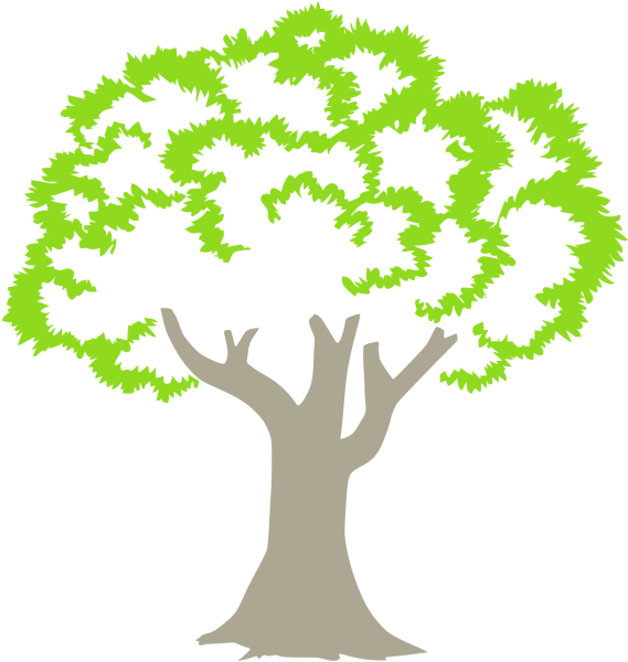 Green Tree Leavs Logos Images Png - Tree In Circle Transparent (999x999)