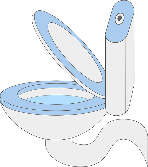 Clipart - Toilet (566x640)
