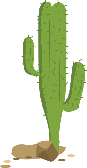 Cactaceae Euclidean Vector Clip Art - Cactus (800x800)