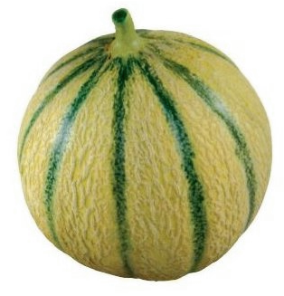 Melon Charentais Petit - Charentais Melon (900x962)