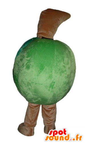 Giant Green Apple Mascot, All Round - Apple (600x600)