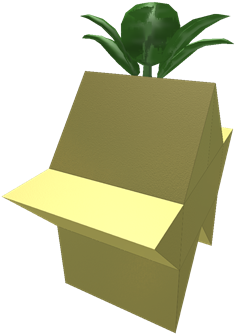 Paopu Fruit - Chair (420x420)