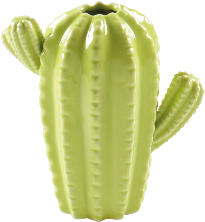 Vaso Cactus In Ceramica - San Pedro Cactus (1400x1400)