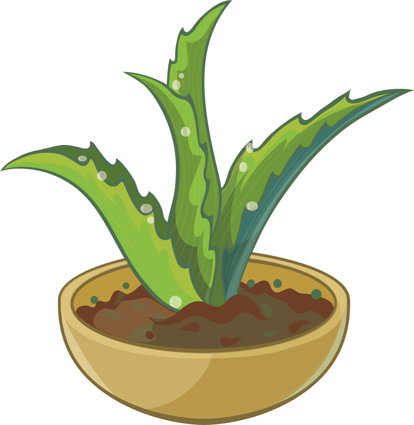 Aloe Cartoon - Aloe Potted - Aloe Cartoon - Aloe Potted (3541x2867)