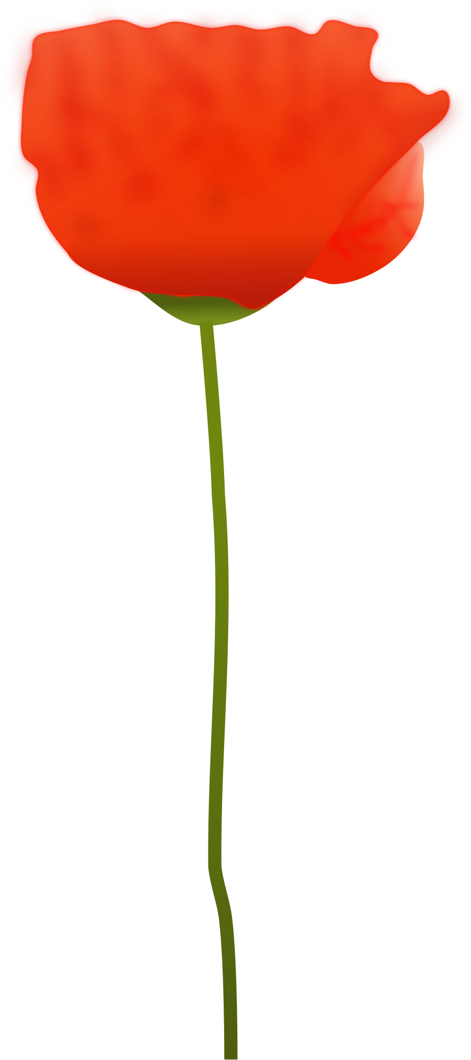 Clipart - Free Picture Of A Poppy Flower (1050x2400)