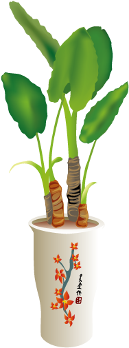 Vintage Flowerpot With Cactus 567*567 Transprent Png - 家居 设计 (567x567)