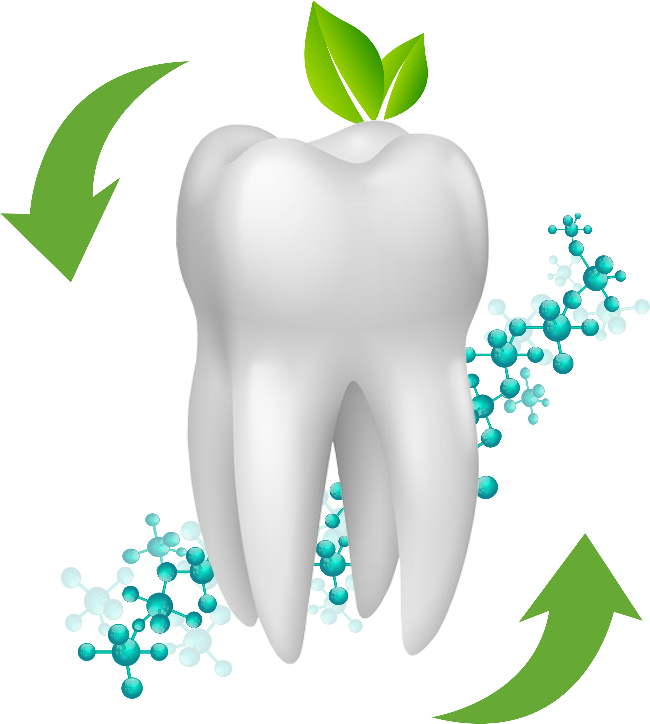Liner Anti-microbien, Pour Les Sensibilités Dentinaires - Liner Anti-microbien, Pour Les Sensibilités Dentinaires (4134x3543)