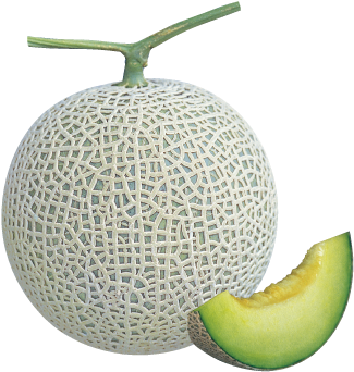 Earl's Arena Akihuyuⅱ - Honeydew (480x350)