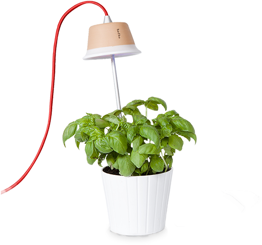 Bulbo Collection - Bulbo Light Cynara Sonnenlichtlampen (1024x768)