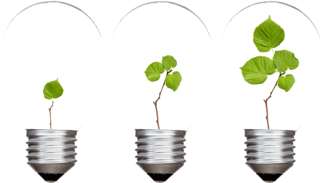 Ampoule Green - Bulb With Growth (750x500)