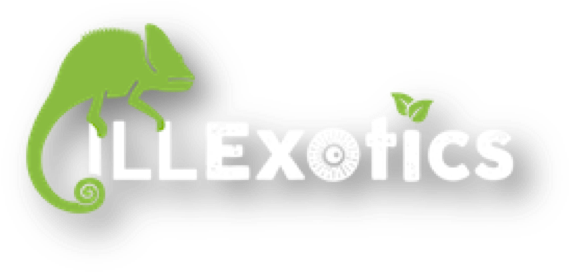 Default Logo - Invertebrate (618x354)