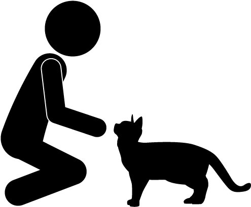 School And Study - Cat (640x480)