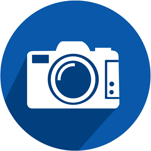 //celle Von Oben - Paradise Valley Community College Logo (500x500)