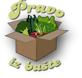 Pravo Iz Baste - Flowerpot (400x400)