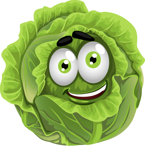 Légumes Rigolos - Laitue - Légumes Rigolos (497x500)